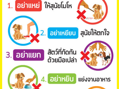 Read more about the article ข้อแนะนำประชาชนยึดหลัก “คาถา 5 ย.” ป้องกันโรคพิษสุนัขบ้า