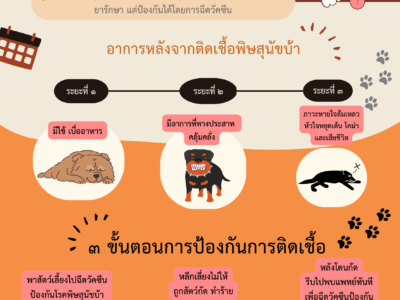 Read more about the article ประชาสัมพันธ์ “โรคพิษสุนัขบ้า”