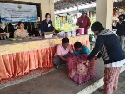 Read more about the article ออกบริการฉีดวัคซีนโรคพิษสุนัขบ้าให้กับสัตว์เลี้ยงสุนัขและแมว หมู่ที่ 3 บ้านป่าสักหลวง