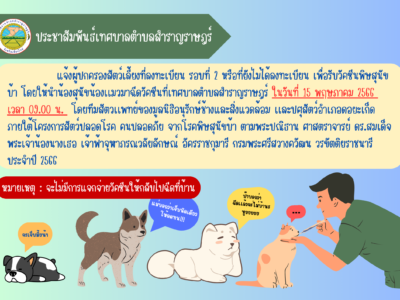 Read more about the article  แจ้งผู้ปกครองสัตว์เลี้ยงที่ลงทะเบียน รอบที่ 2 หรือที่ยังไม่ได้ลงทะเบียน ให้นำน้องสุนัขน้องเเมวมาฉีดวัคซีนที่เทศบาลตำบลสำราญราษฎร์ ในวันที่ 15 พฤษภาคม 2566  เวลา 09.00 น.